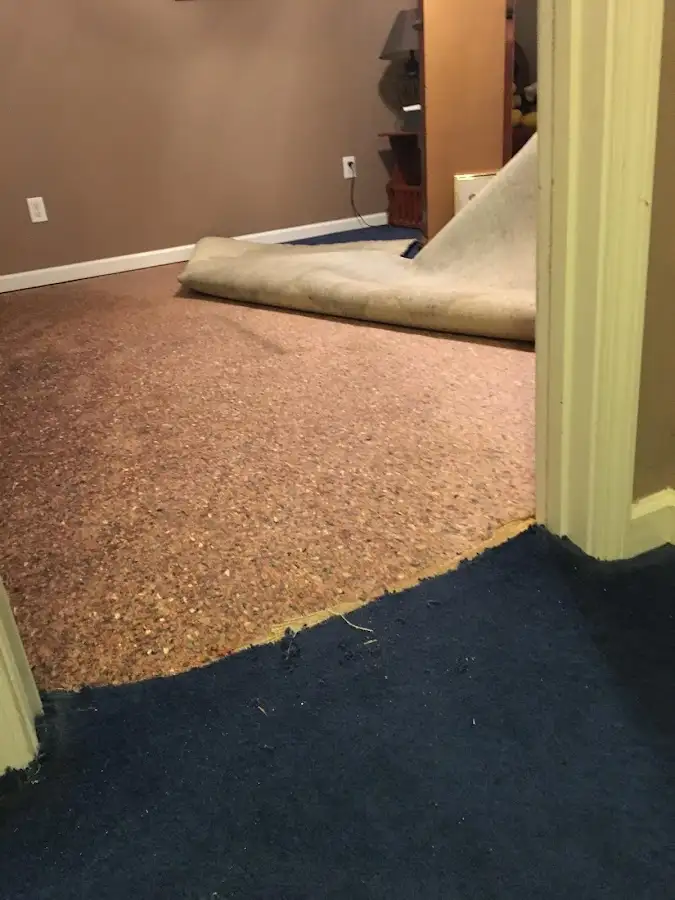Carpet pad removal revealing water damage during Water Mitigation Services in North Star