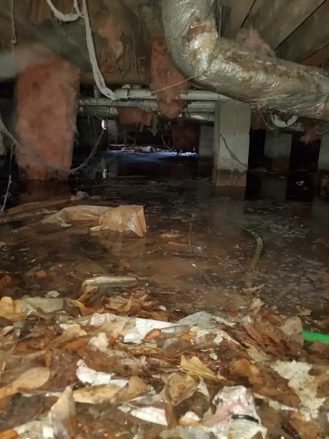 Crawl space flood assessment for Commercial Water Damage Restoration in North Star