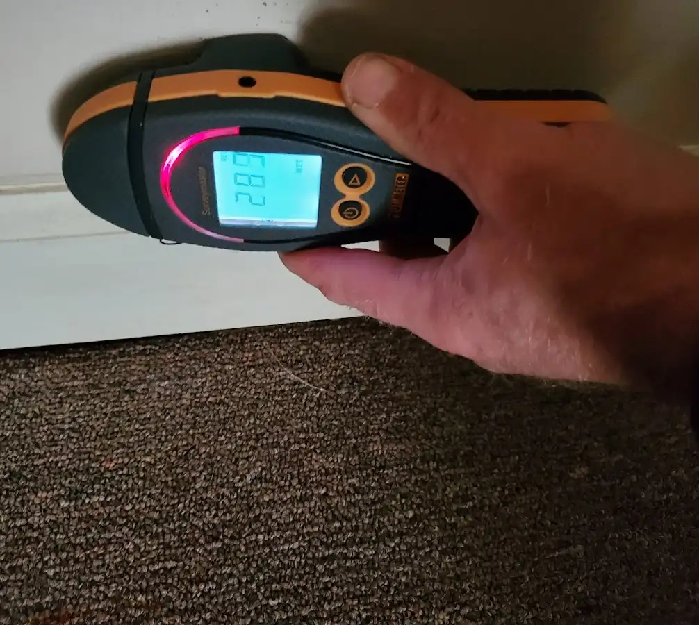 Moisture detection at baseboard during Mold Inspection & Testing in North Star
